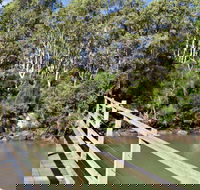 Woolgoolga Lake - Flights