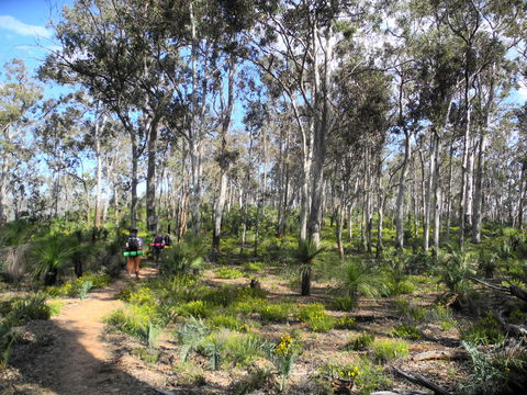 Bibbulmun Track - Flights 1