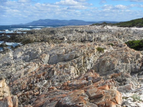 Hakea Walk Trail, East Fitzgerald National Park - Flights 1
