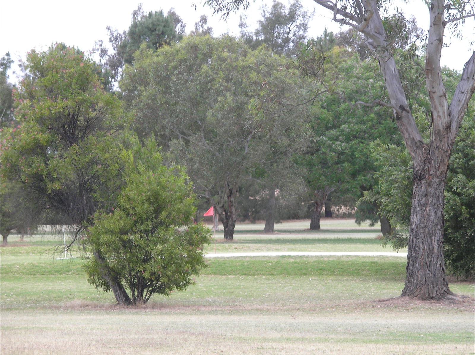 Mullengandra NSW Flights