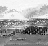 Don Dorrigo and Guy Fawkes Historical Society Museum - Flights
