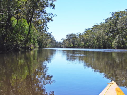 Esk River - Flights 0