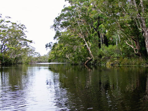 Esk River - Flights 2