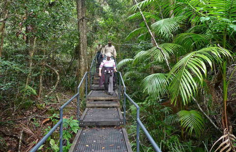 Falls Walking Track - Flights 0