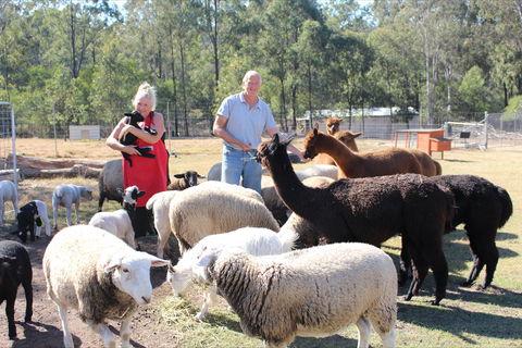 Haigslea EWE Nique Hobby Farm - Flights 0