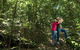 Iluka Rainforest Walking Track - thumb 0