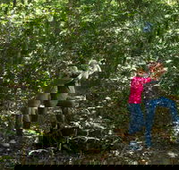Iluka Rainforest Walking Track - Flights