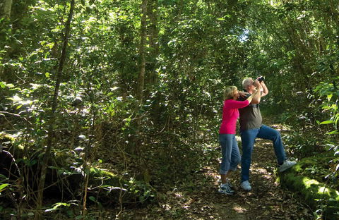 Iluka Rainforest Walking Track - Flights 0