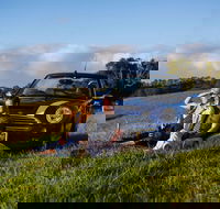 Tourist Drive 28 - Hinterland - Flights