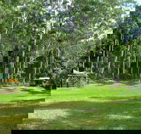 Woolgoolga Creek Picnic Area - Flights