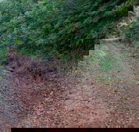 Cascade mountain bike trail - Flights