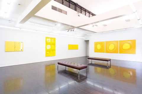 La Trobe Art Institute - Flights 1