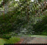 Moonpar Forest drive - Cascade National Park - Flights