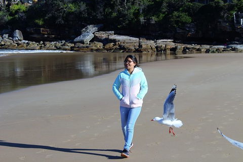 Half Day Manly Beach And More - Flights 6