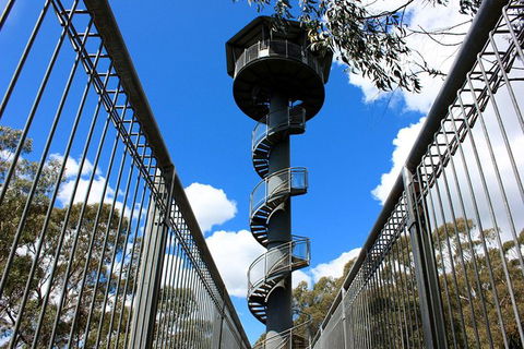 Illawarra Fly Treetop Adventures Admission Including Zipline Tour - Flights 3