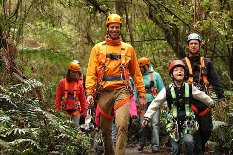 Illawarra Fly Treetop Adventures Admission Including Zipline Tour - Flights 1