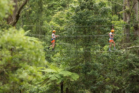 Illawarra Fly Treetop Adventures Admission Including Zipline Tour - Flights 0