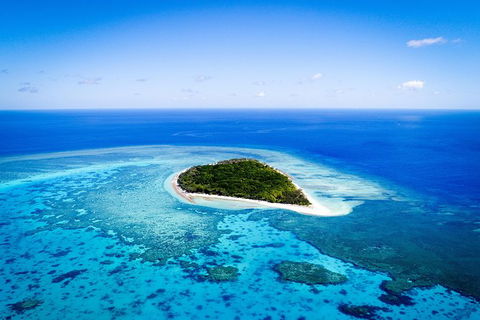 Lady Musgrave Day Trip From Bundaberg Including Snorkeling, Glass Bottom Tour And Guided Island Walk - Flights 0