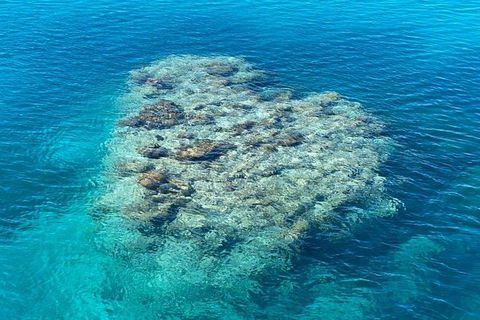 Lady Musgrave Day Trip From Bundaberg Including Snorkeling, Glass Bottom Tour And Guided Island Walk - Flights 2