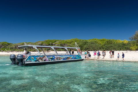 Lady Musgrave Day Trip From Bundaberg Including Snorkeling, Glass Bottom Tour And Guided Island Walk - Flights 5