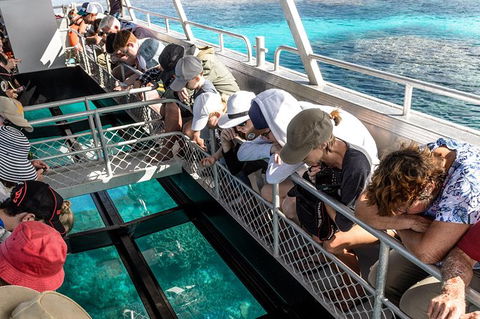Lady Musgrave Day Trip From Bundaberg Including Snorkeling, Glass Bottom Tour And Guided Island Walk - Flights 3