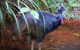 Daintree Discovery Centre Family Pass Ticket - thumb 7