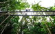 Daintree Discovery Centre Family Pass Ticket - thumb 3