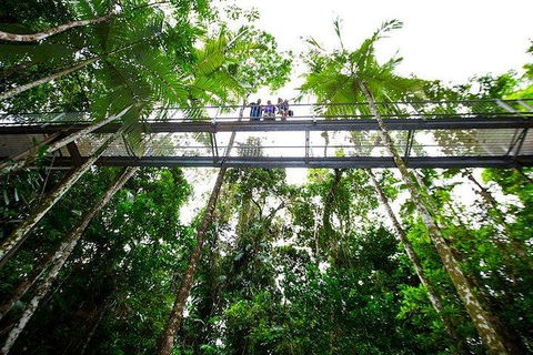 Daintree Discovery Centre Family Pass Ticket - Flights 3