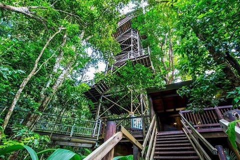 Daintree Discovery Centre Family Pass Ticket - Flights 4