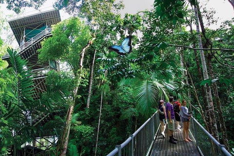 Daintree Discovery Centre Family Pass Ticket - Flights 2