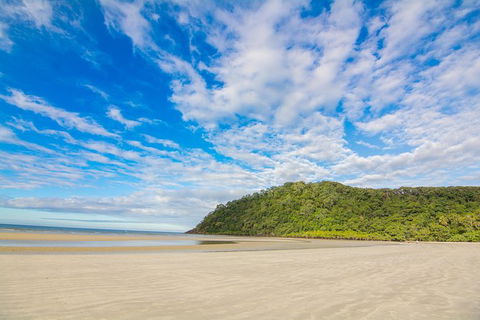 Daintree Afternoon Nocturnal Nature And Wildlife Tour - Flights 8