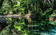 Daintree And Cape Tribulation Full Day Guided Tour - thumb 8