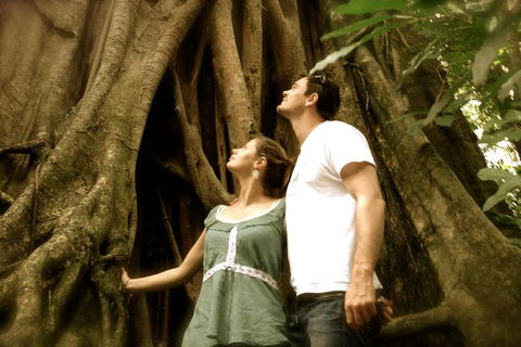 Daintree And Cape Tribulation Full Day Guided Tour - Flights 0