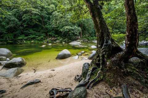 Daintree And Cape Tribulation Full Day Guided Tour - Flights 5