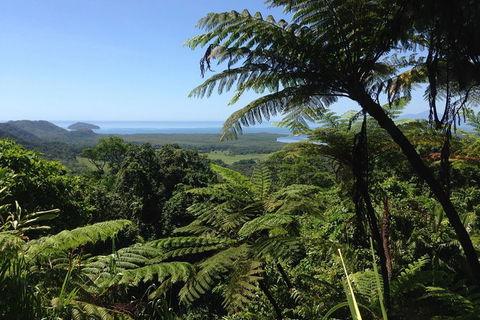 Daintree And Cape Tribulation Full Day Guided Tour - Flights 1