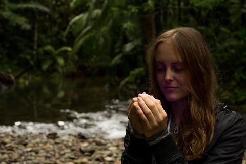 Daintree And Cape Tribulation Full Day Guided Tour - Flights 4
