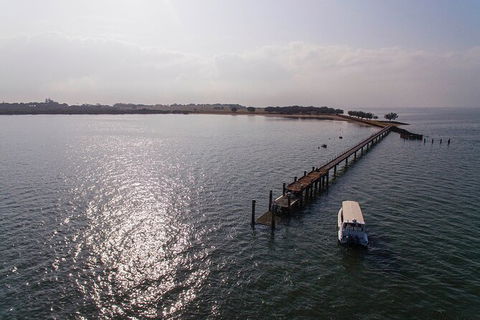 Half Day St. Helena Island Tour - Flights 4
