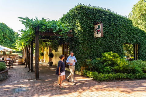 Yalumba Nursery & Grenache Discovery Tour + Platter Lunch - Flights 3