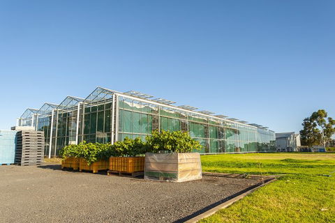 Yalumba Nursery & Grenache Discovery Tour + Platter Lunch - Flights 5
