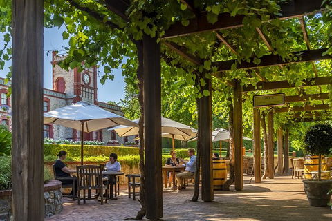 Yalumba Signature Tour - Flights 4