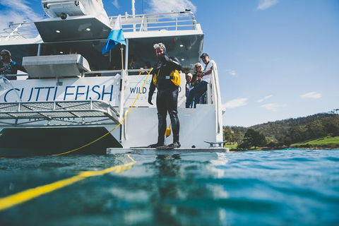 Deep-to-Dish: Tasmanian Seafood Experience - Afternoon Tour - Flights 6