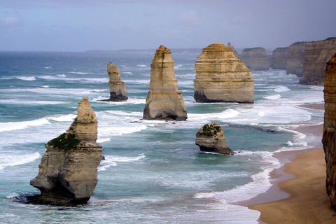 LGBT+ Friendly 2 Day Private Tour Great Ocean Road + Phillip Island - Flights 0