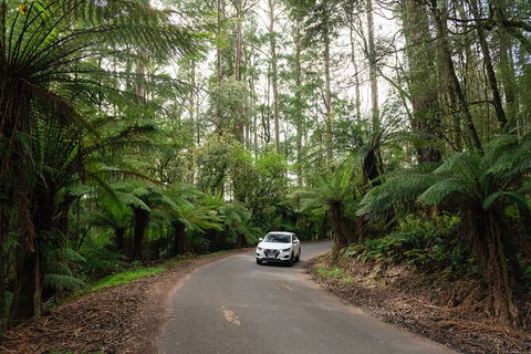 LGBT+ Friendly 3 Day Tour The Grampians, Daylesford & Ballarat - Flights 1