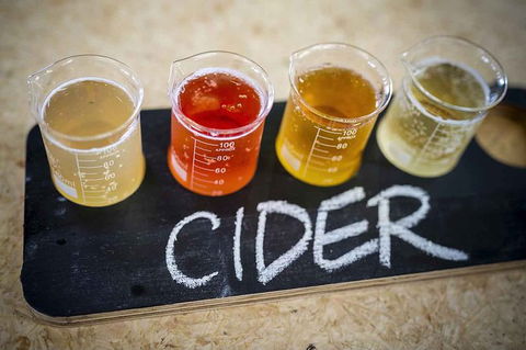 Bickley Valley Wine & Cider Tour - Premium Small Group Tour - Flights 1