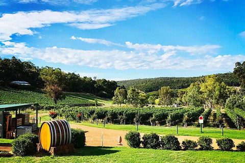 Bickley Valley Wine & Cider Tour - Premium Small Group Tour - Flights 0