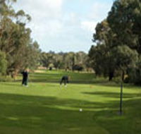 Mount Gambier Golf Club - Flights