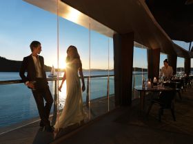 Hamilton Island Yacht Club - Flights 2