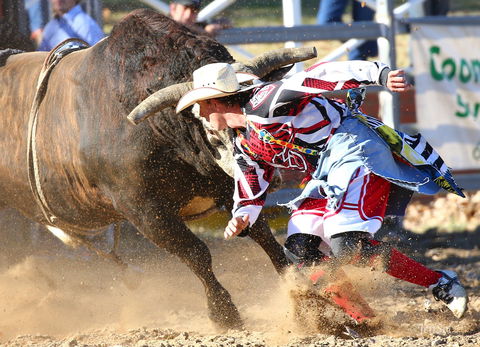 AgriWest Cooma Rodeo - Flights 2