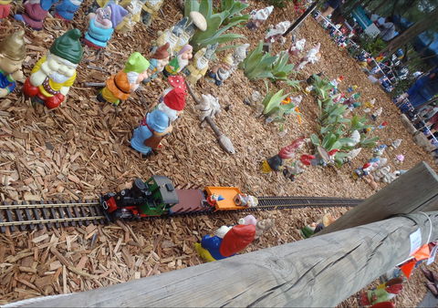 Australia Day With The Australian Gnome Convention Glenbrook - Flights 2