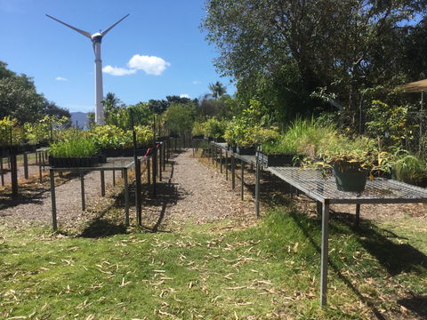 Conservation Volunteers Australia Townsville - Ocean View Nursery - Flights 0